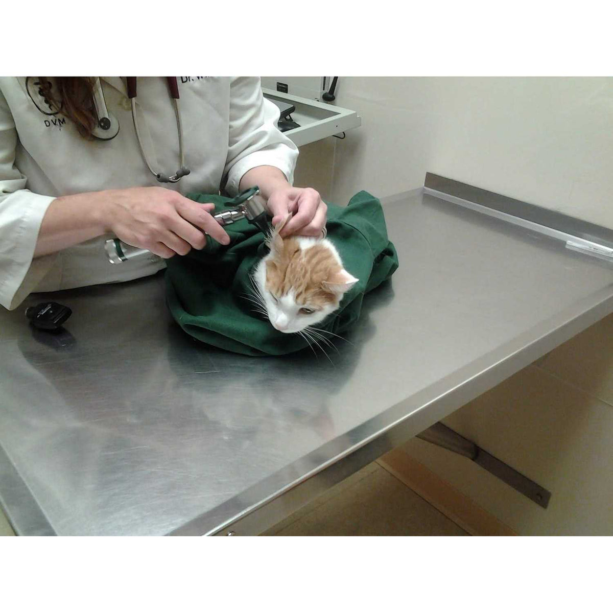 Cat Carrier L742