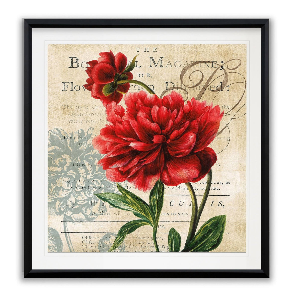 Framed Giclee Print 24x24 G39698