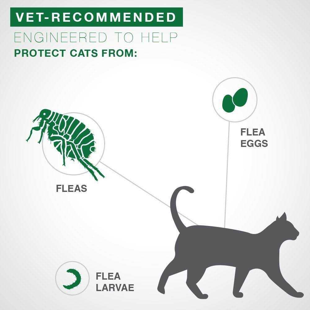 Flea Treatment Cats D561
