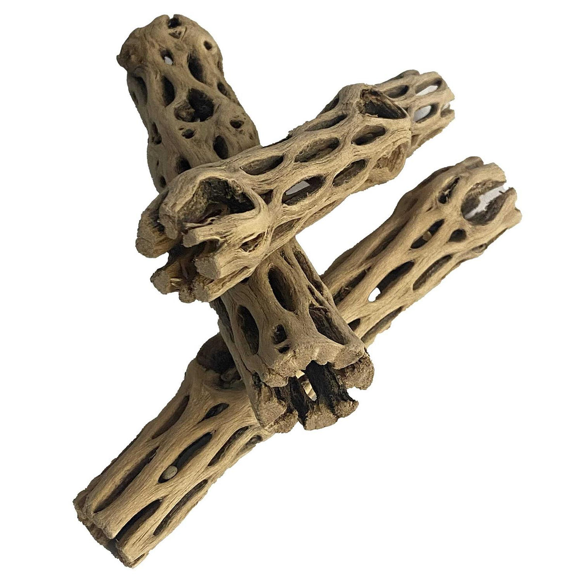 Natural Cholla Wood 3 Pieces Aquarium Decoration H74770