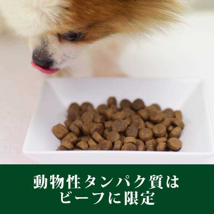Beef Tripe Formula Dry Dog Food Y167322