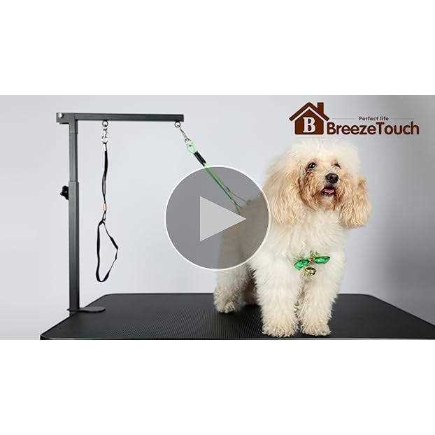 Dog Grooming Table Arm with Clamp and Post W8159