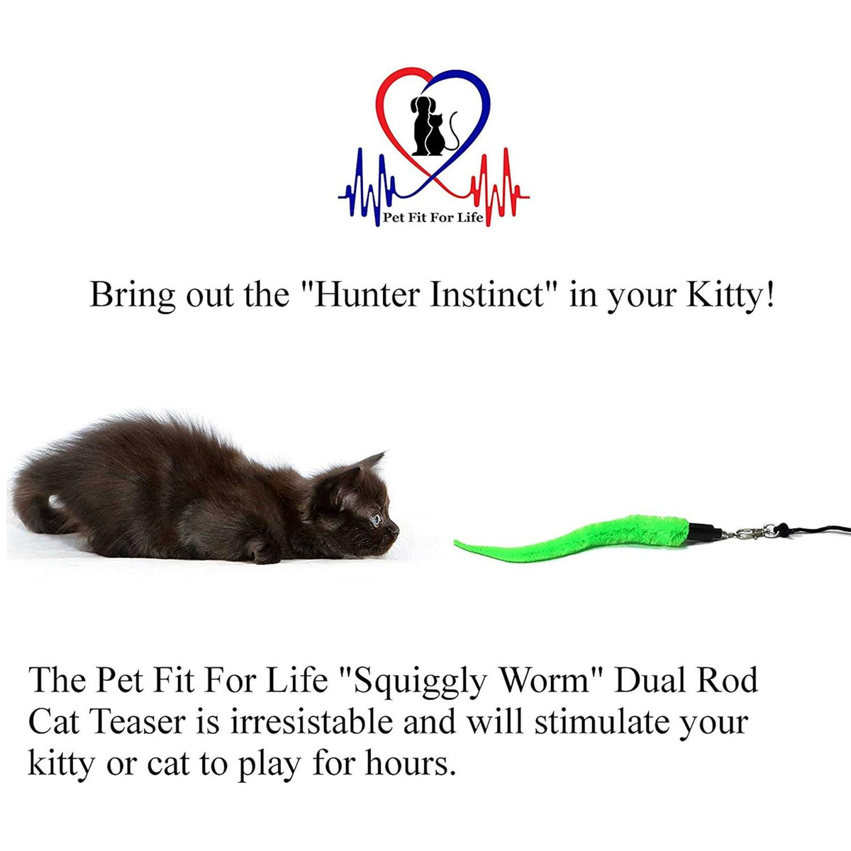 Cat Wand Toy 5-Piece Worm Teaser U896
