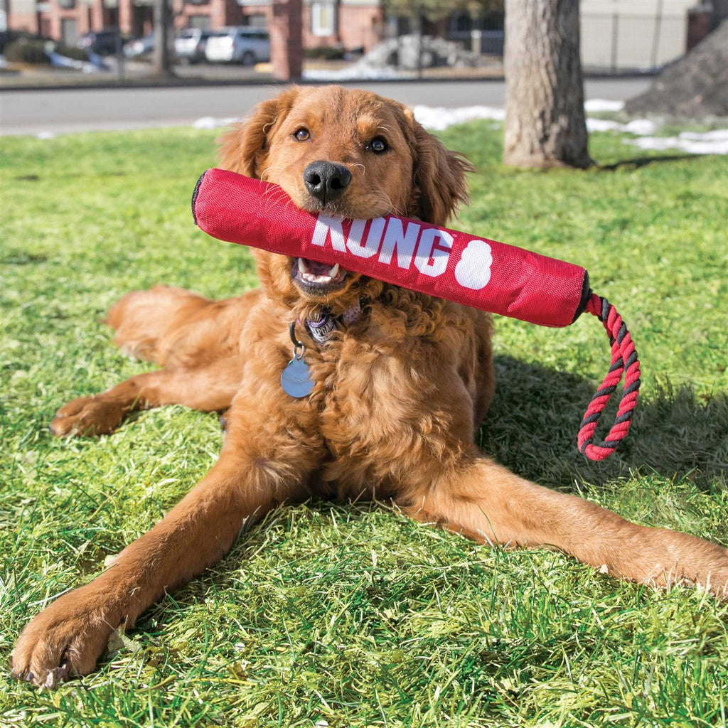 Dog Toy F790