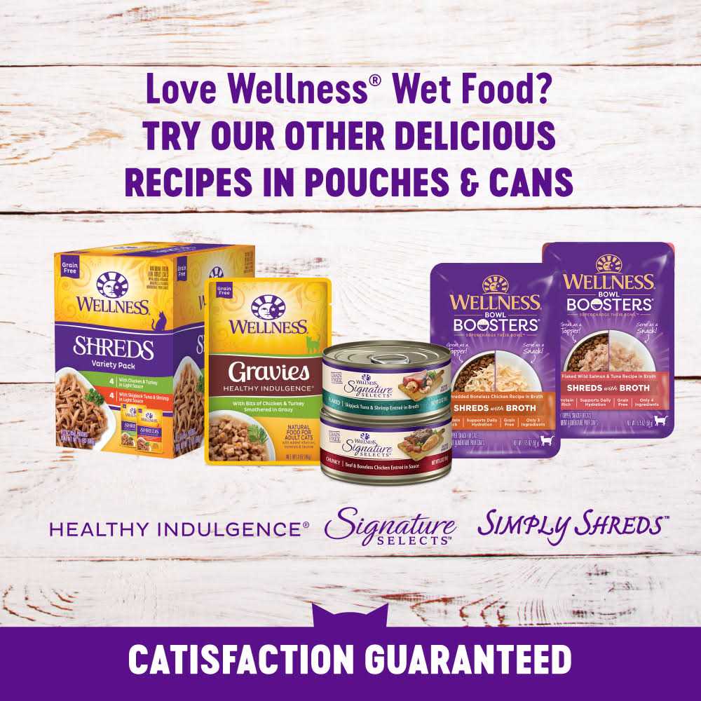 Healthy Indulgence Cat Food Y89488