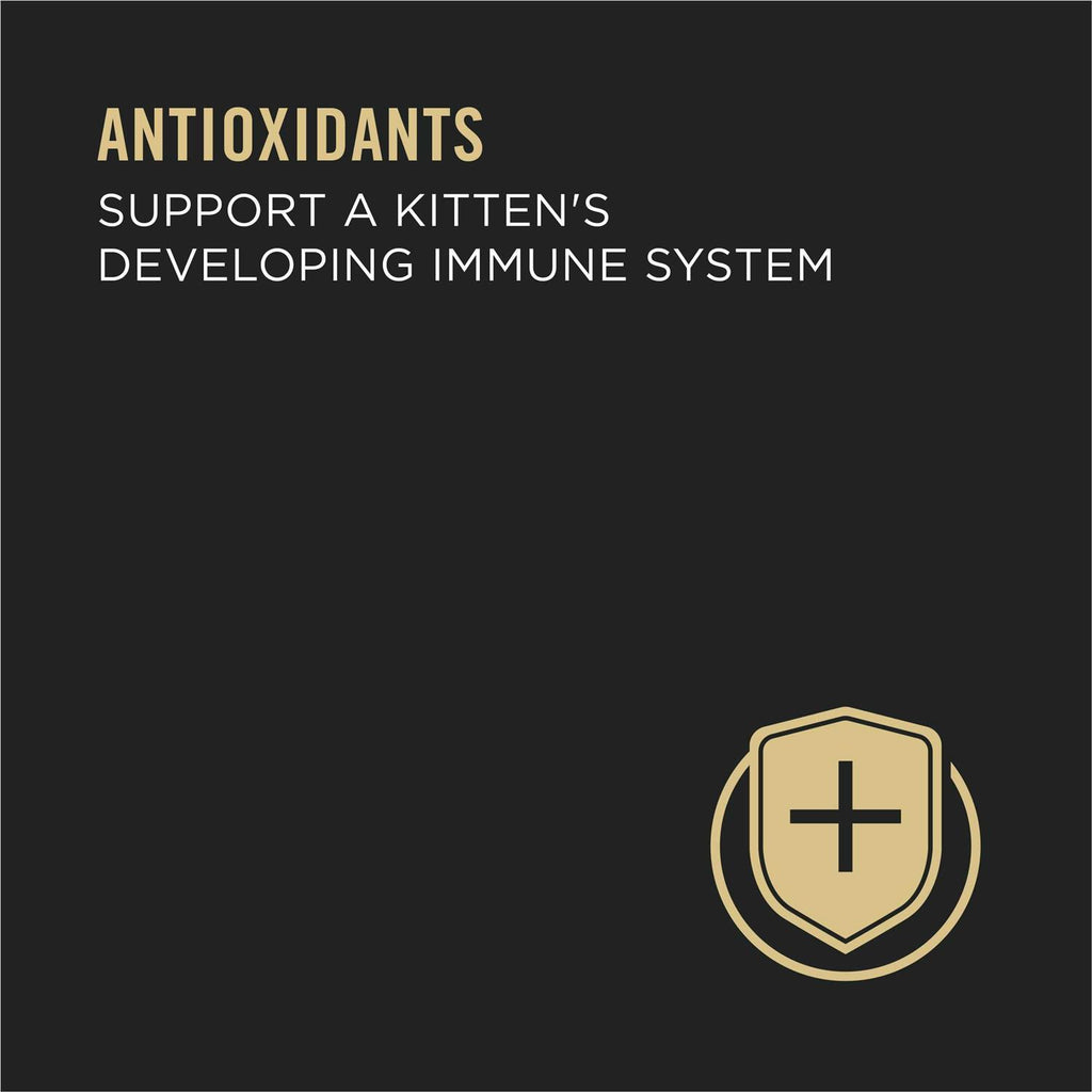 Grain Free Pate Wet Kitten Food I9464