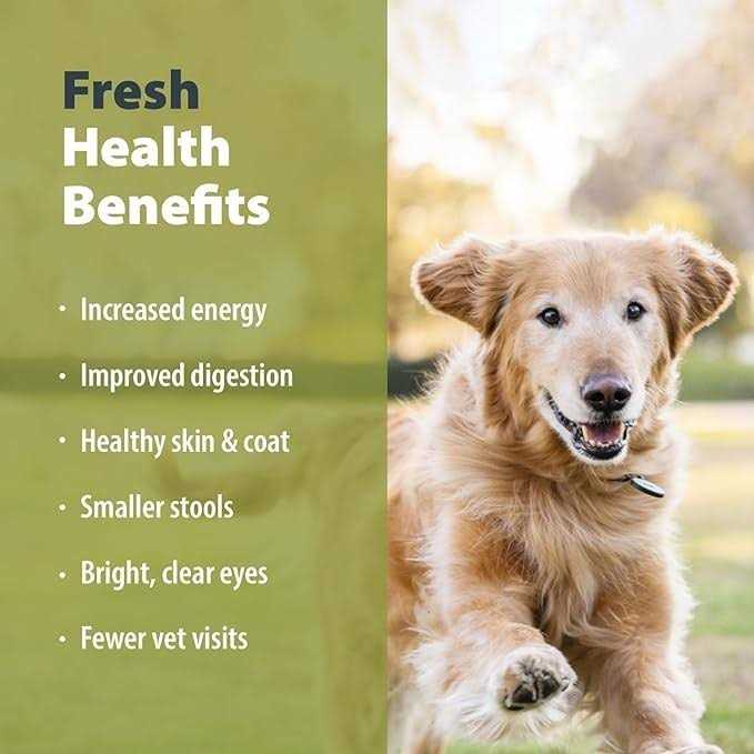 Frozen Fresh Dog Food H45138