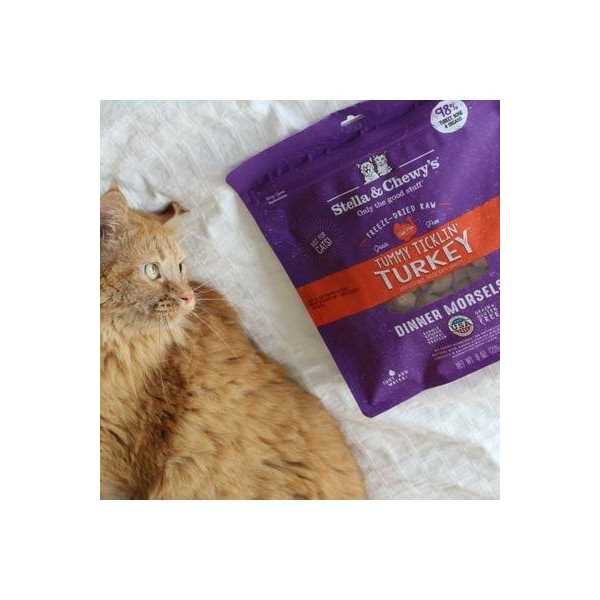 Freeze Dried Cat Food Z624