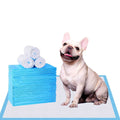 Puppy Pee Training Pads Super Absorbent & Leak-Proof T34046