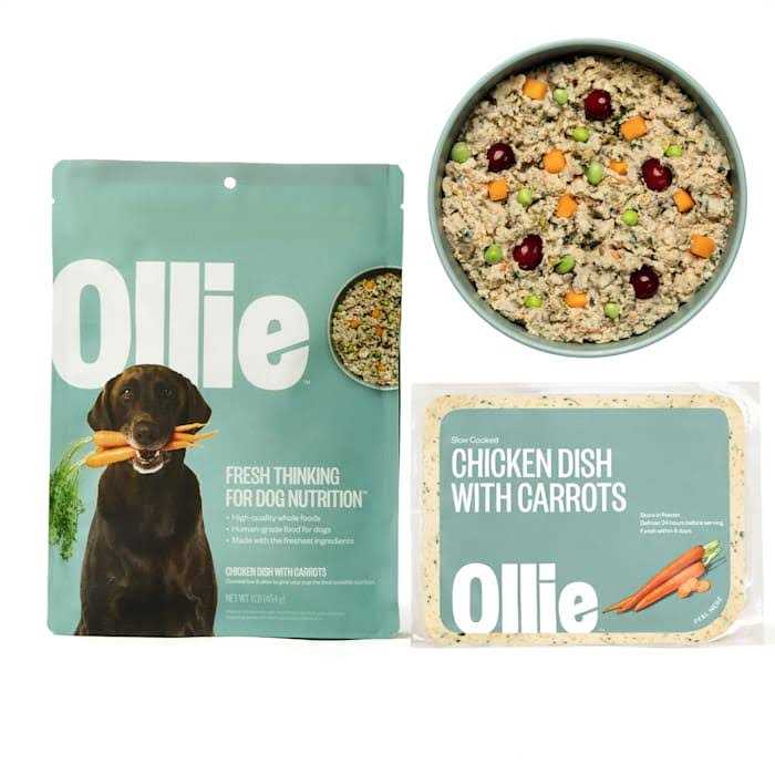 Chicken Dish with Carrots Frozen Dog Food L749