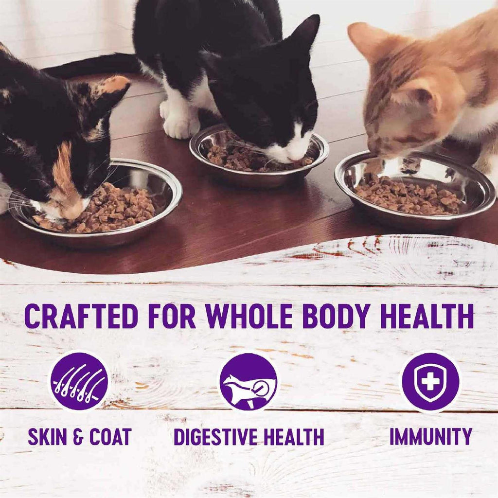 Seafood Pate Cat Food Variety Pack Y86534