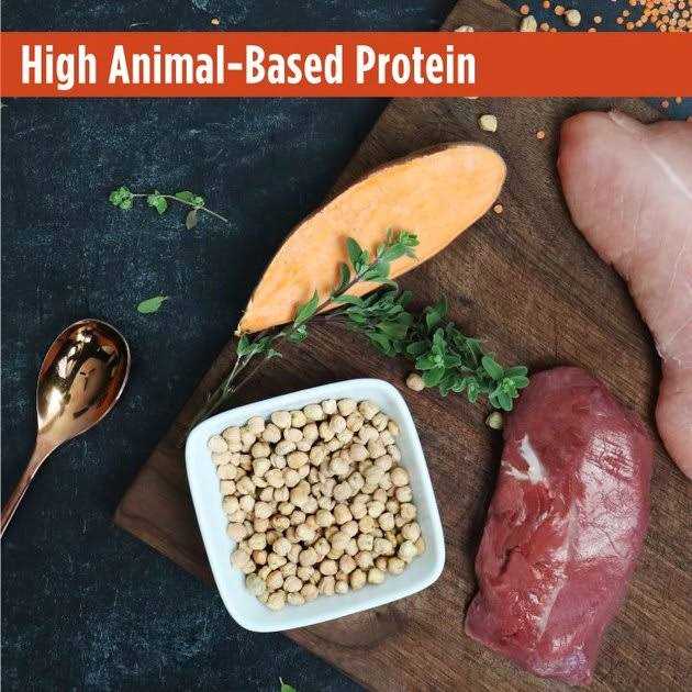 Grain-Free Turkey & Duck Recipe Dry Cat & Kitten Food O6974