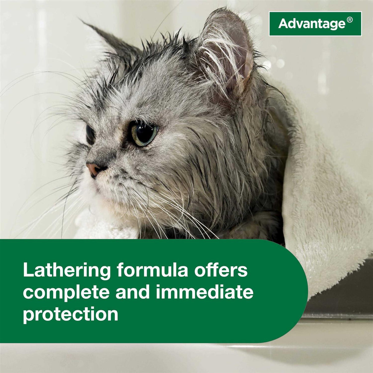 Flea & Tick Treatment Shampoo for Cats & Kittens Y41671
