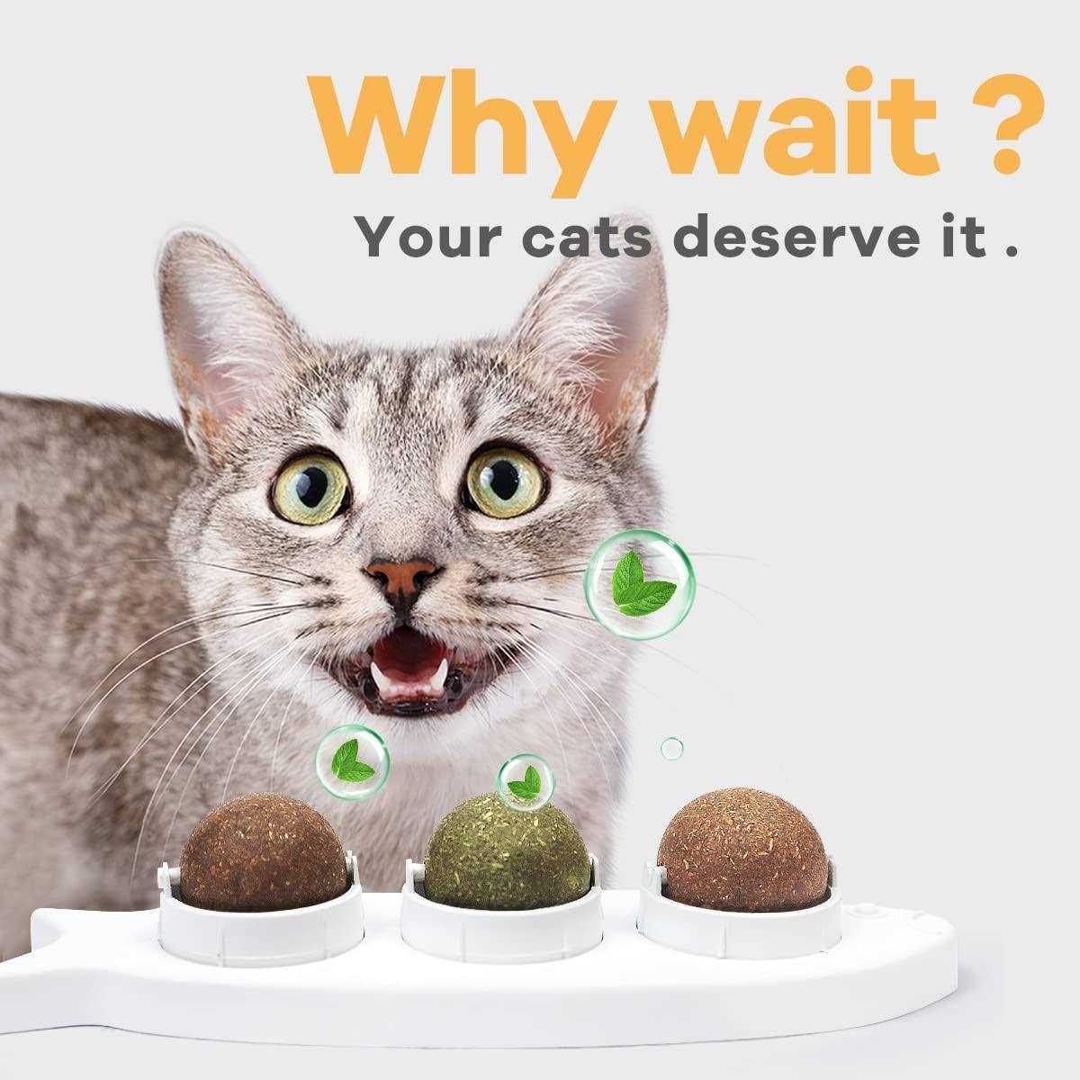 Catnip Wall Balls Toys for Cats B17139