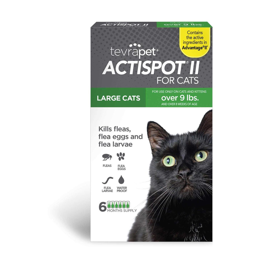 Flea Treatment for Large Cats X1672