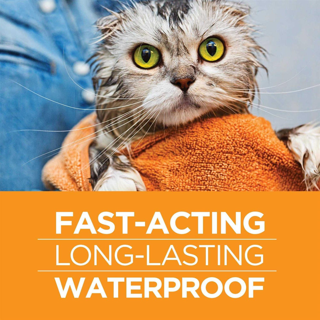 Flea Treatment for Large Cats X1672