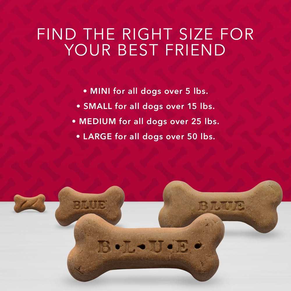 Bones Biscuits B644