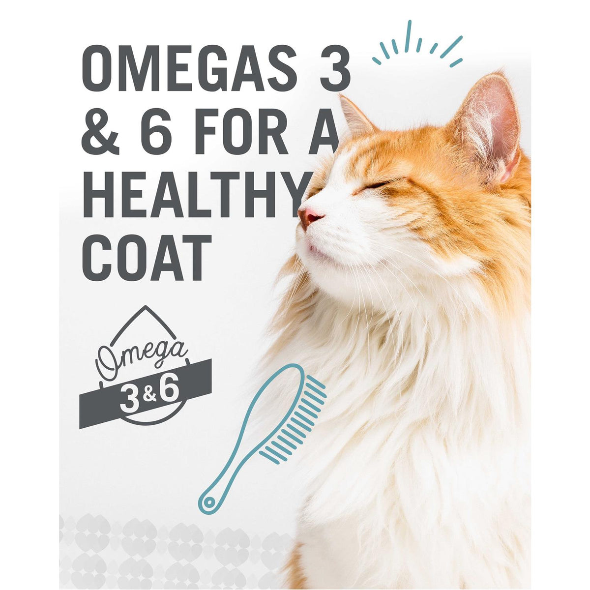 Wet Cat Food Variety Pack X317