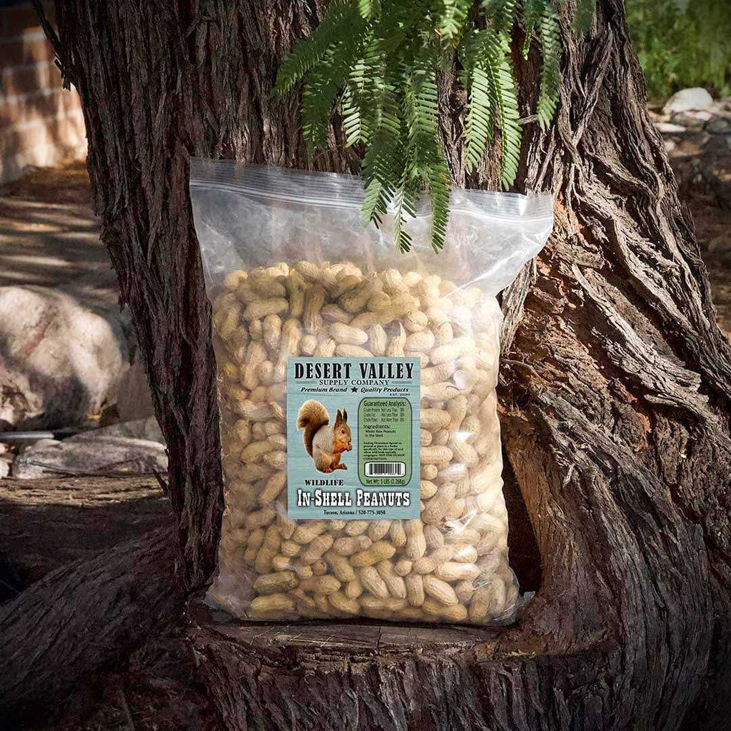 Peanuts in Shell V806