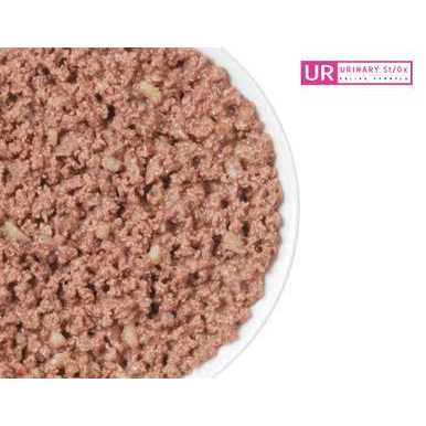 Wet Cat Food E529952