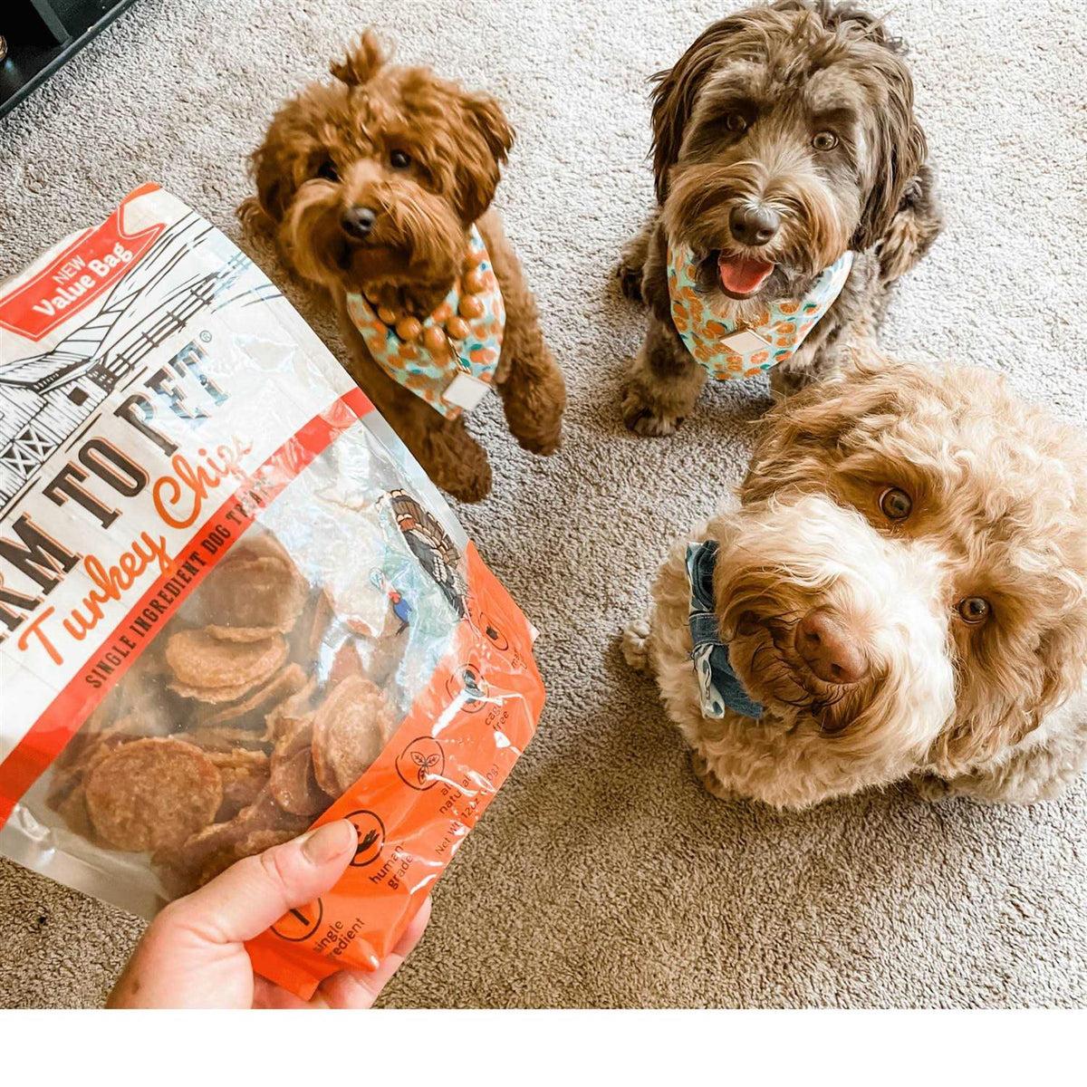 Turkey Chips Dog Treats M830