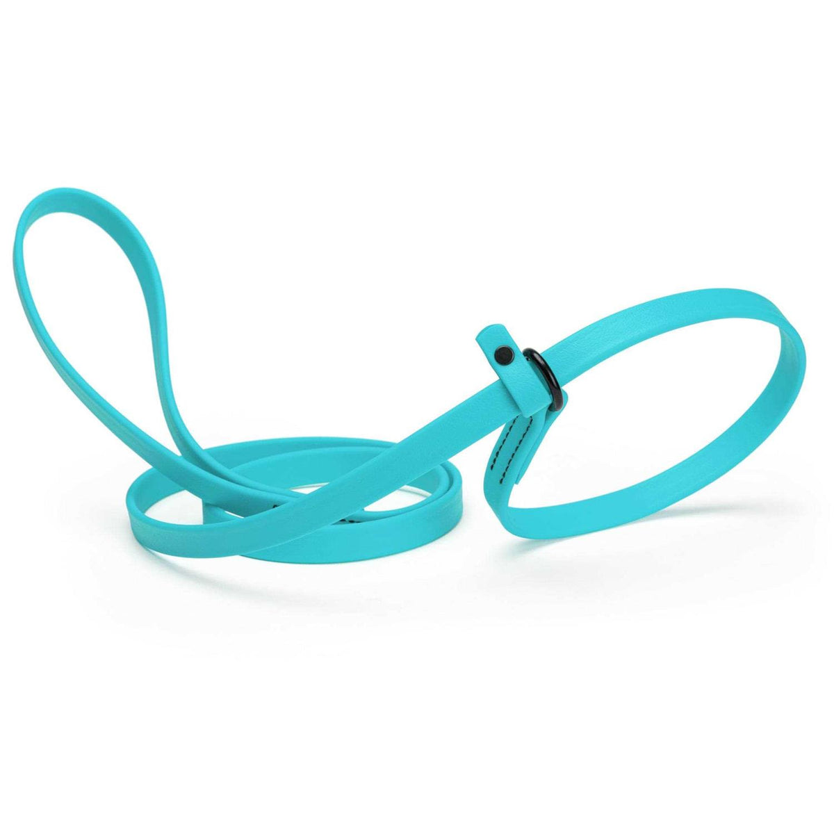 Biothane Slip Dog Leash U41700