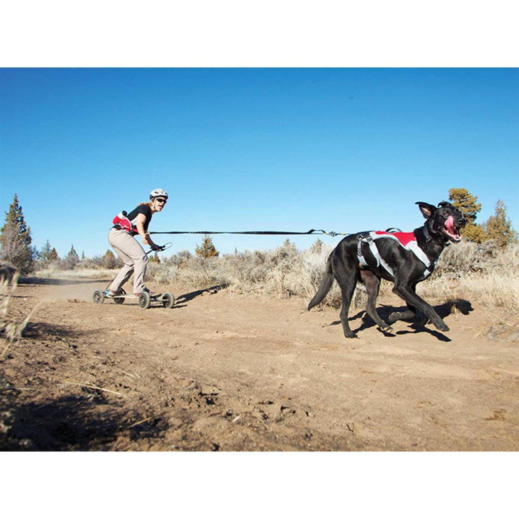 Joring System T2954