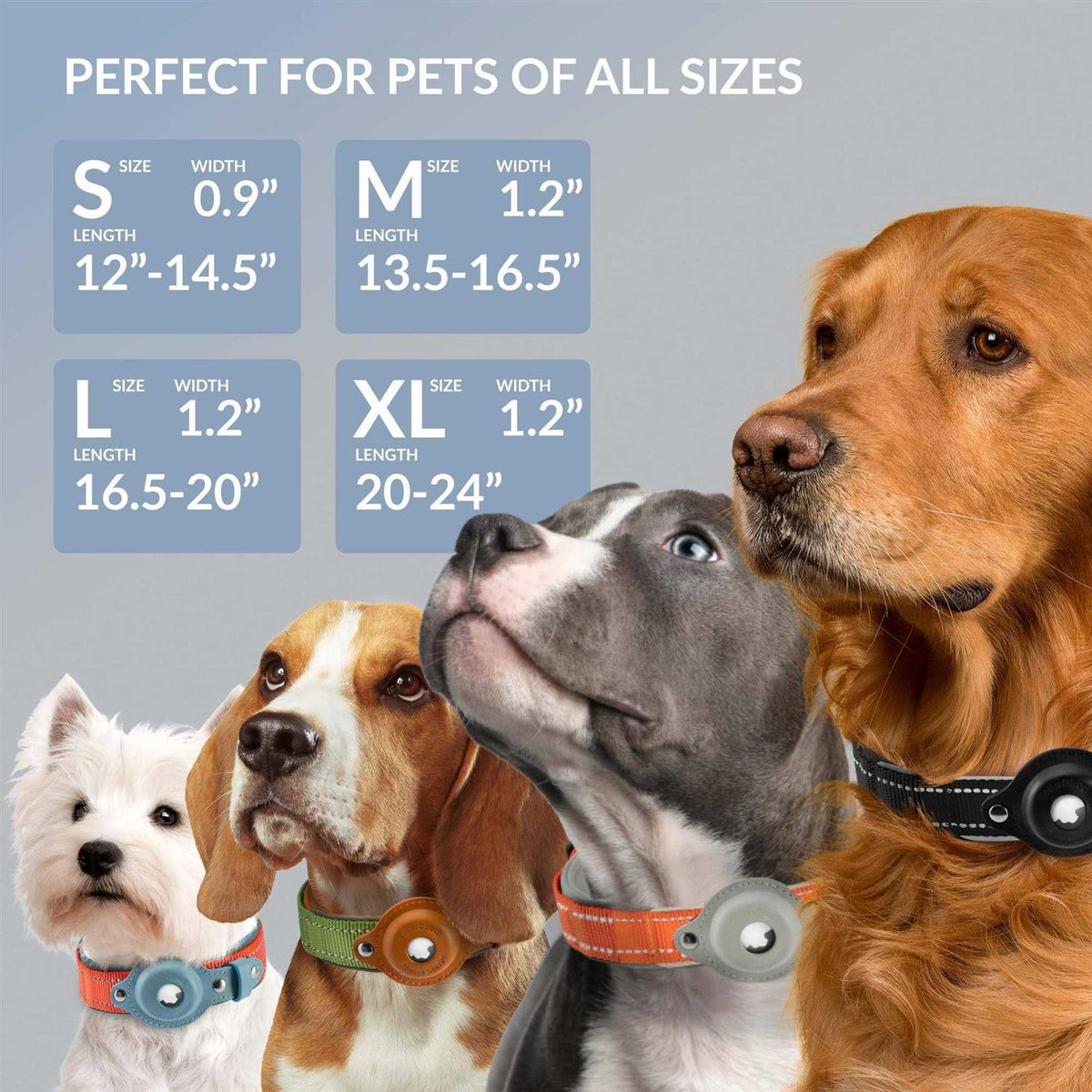 Reflective Dog Collar X627
