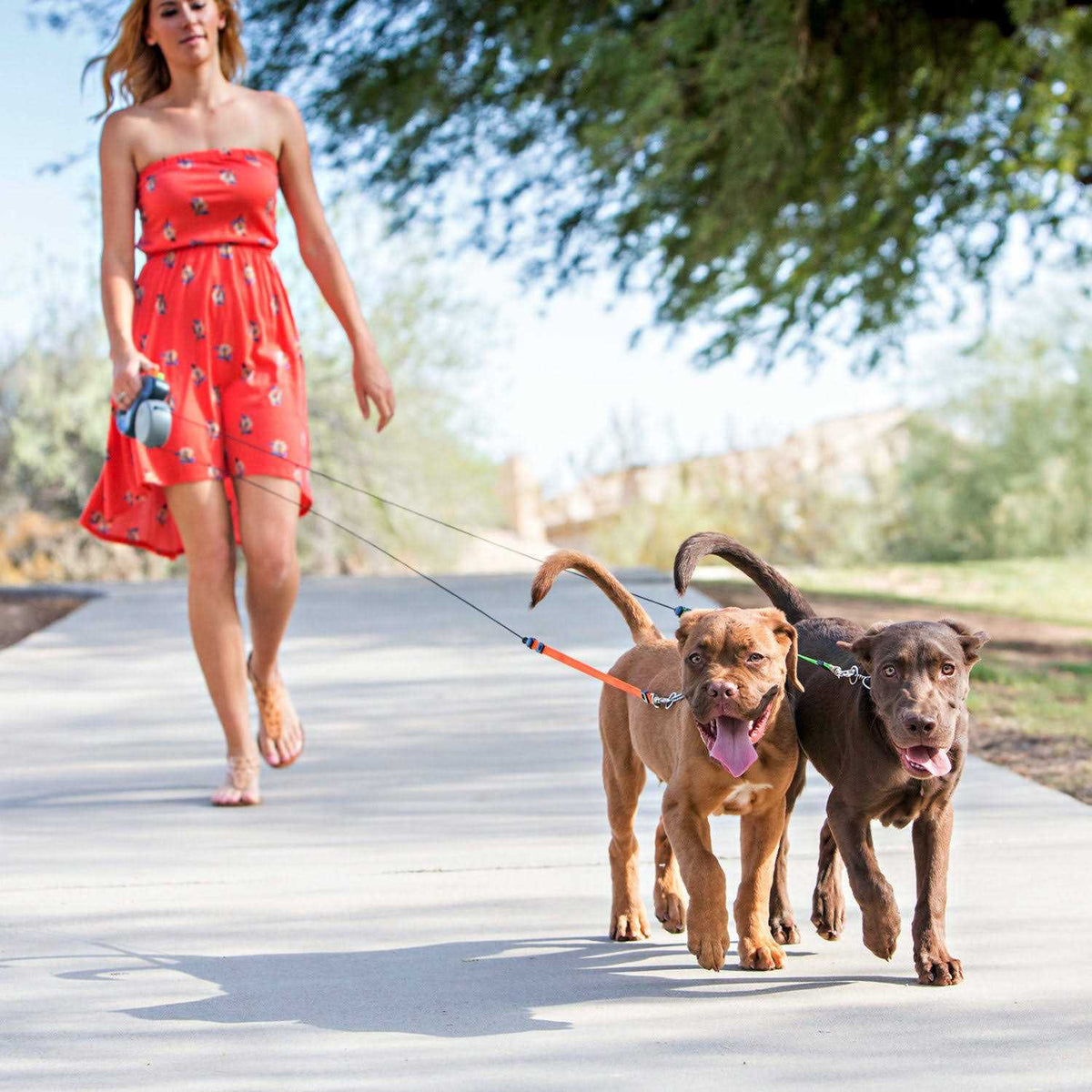 Retractable Dog Leash F9488