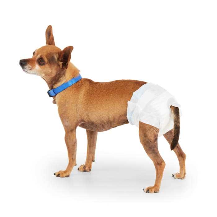 Disposable Pet Diapers I85861