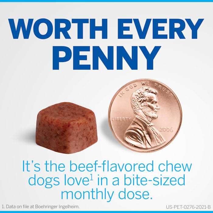 Chewables for Dogs 10.1 to 24 lbs X71381