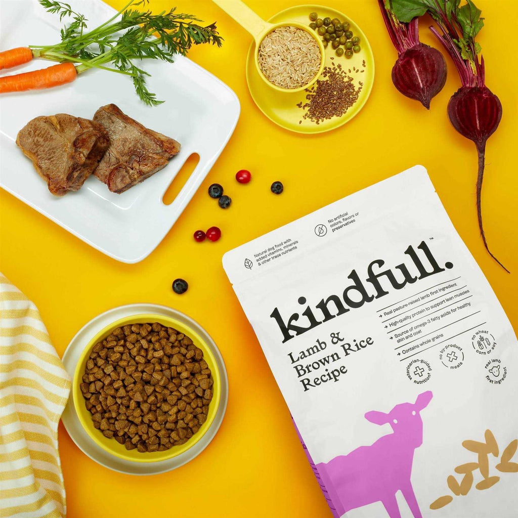 Lamb & Brown Rice Recipe Dry Dog Food Z97727