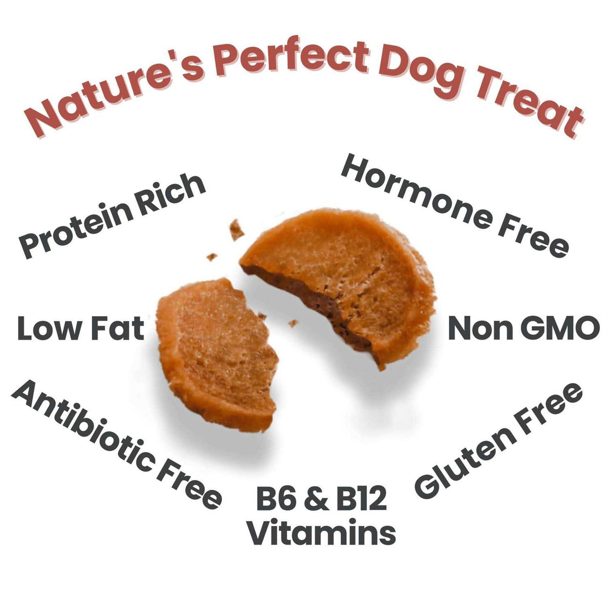 Turkey Chips Dog Treats M830