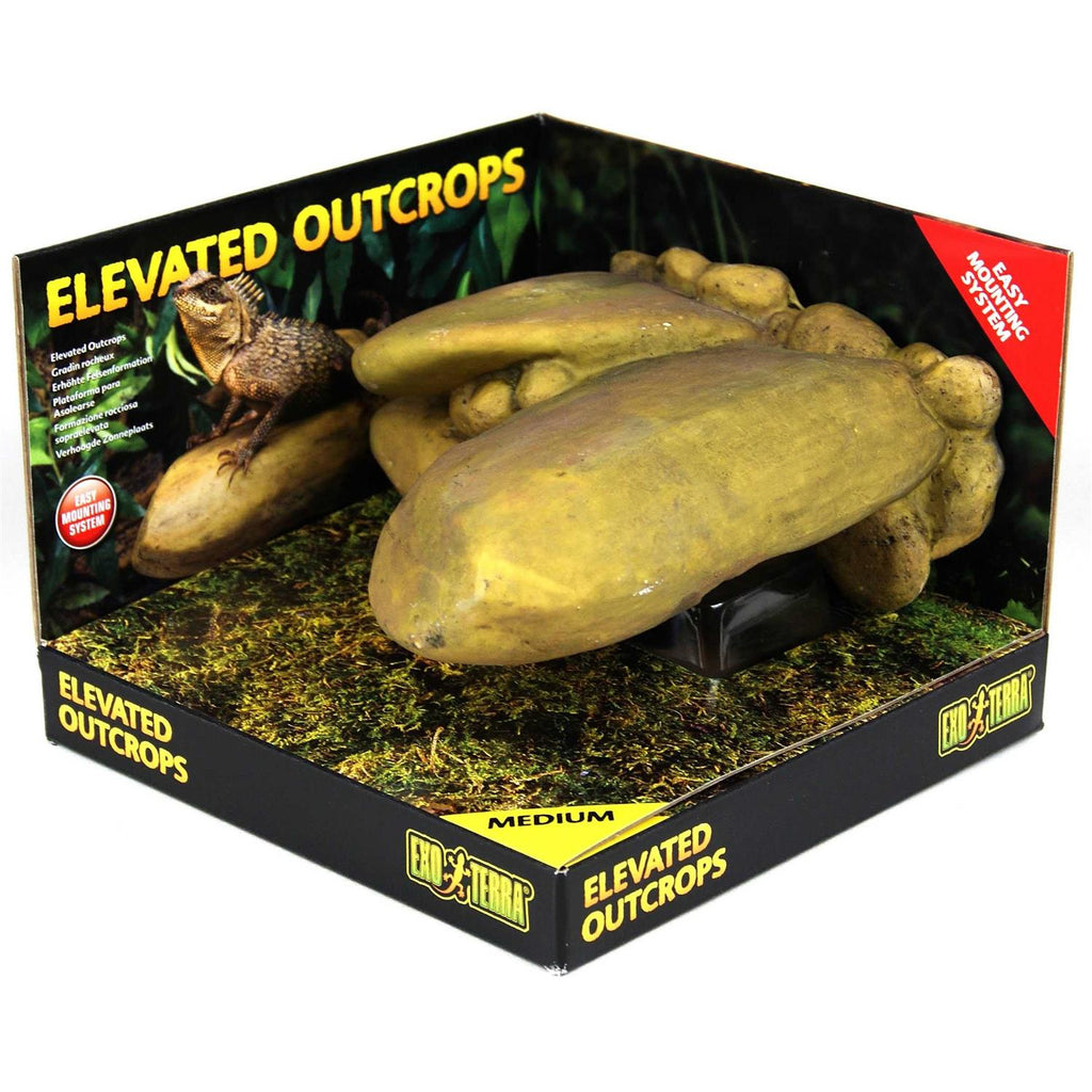 Elevated Outcrop X8965