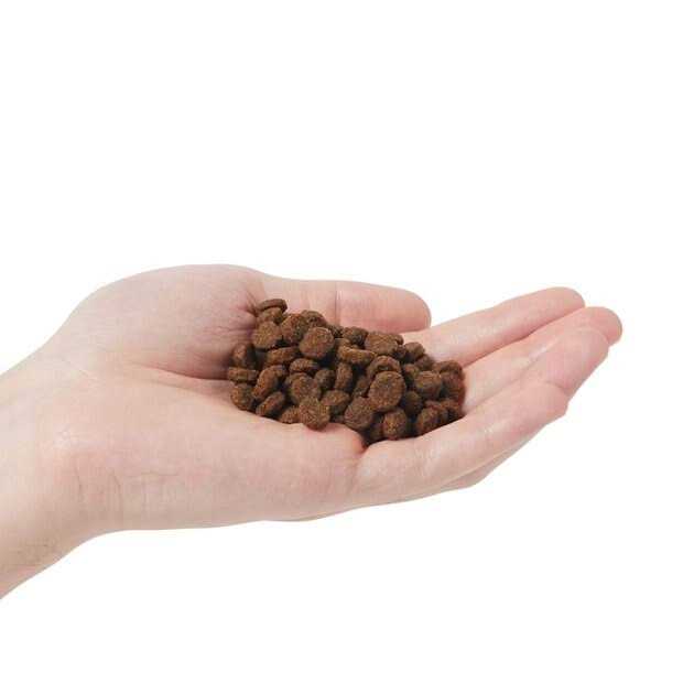 Chicken & Pomegranate Adult Dry Cat Food K5692