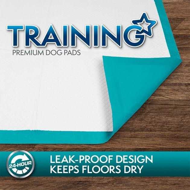 Extra Large Training Pads I2983