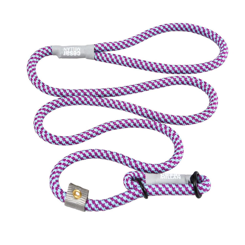 2-in-1 Slip Collar Dog Training Lead & Collar Z995450