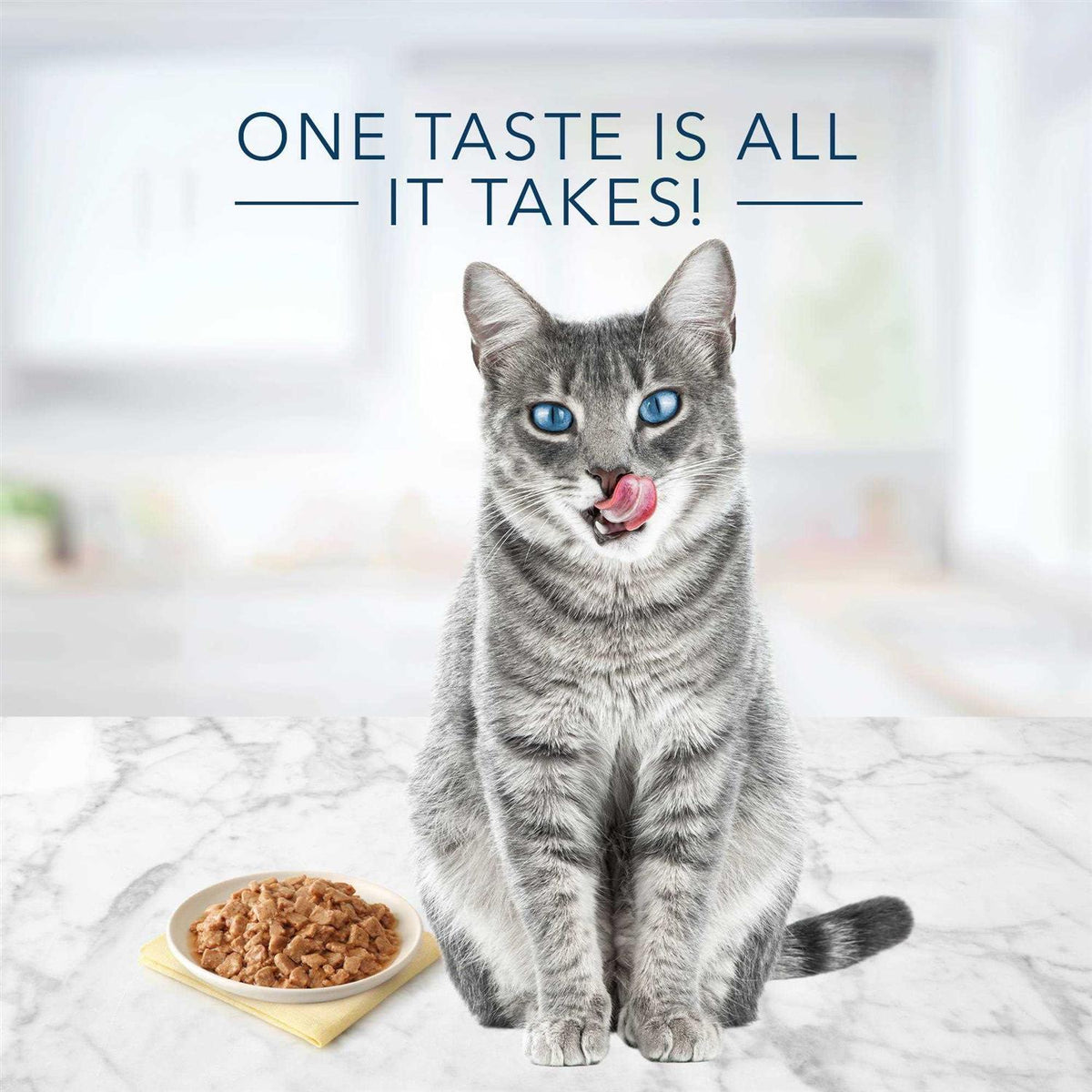 Tuna Chicken Fish Shrimp Flaked Wet Cat Food Z606928