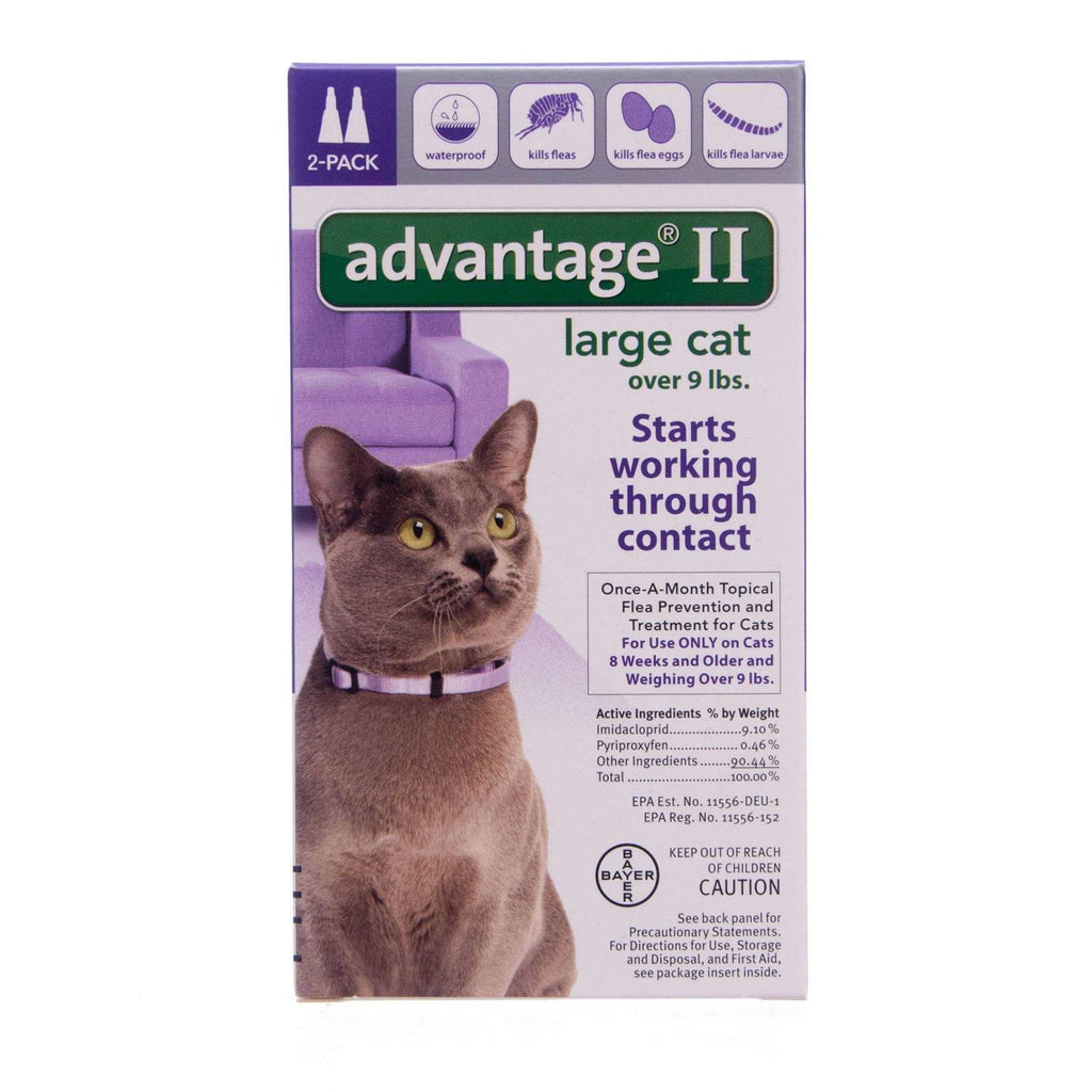 Flea Treatment Cats D561