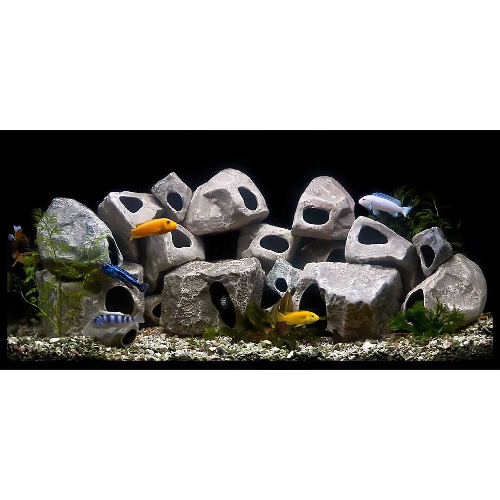 15-Pack Cichlid Stone T829636