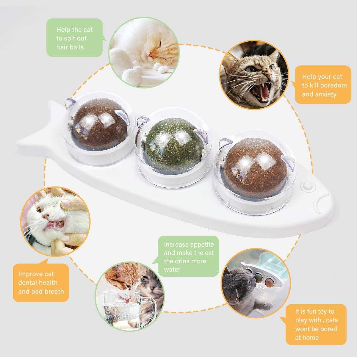 Catnip Wall Balls Toys for Cats B17139