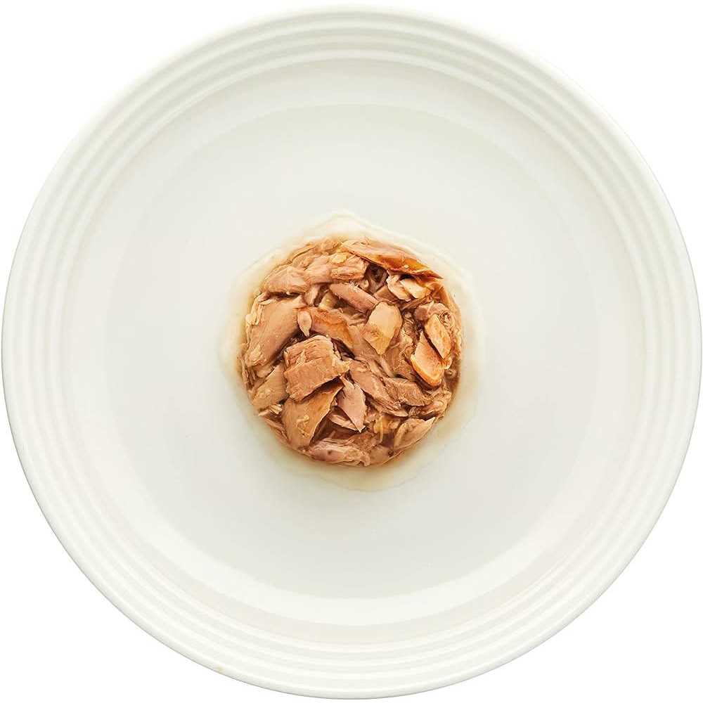 Gravy Tuna Fillet Grain Free Cat Food J193