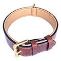 Leather Padded Dog Collar M669