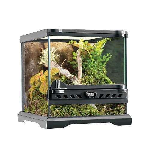 Glass Terrarium O148
