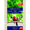 Safflower Y410079