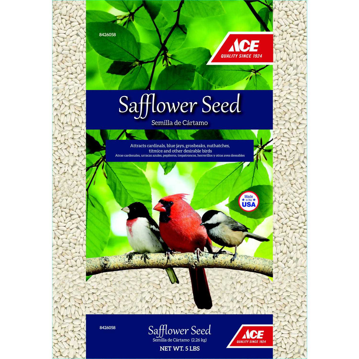 Safflower Y410079