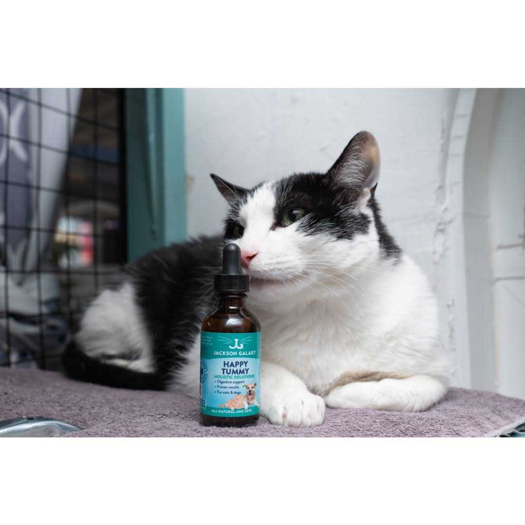 Pet Solution Z50411