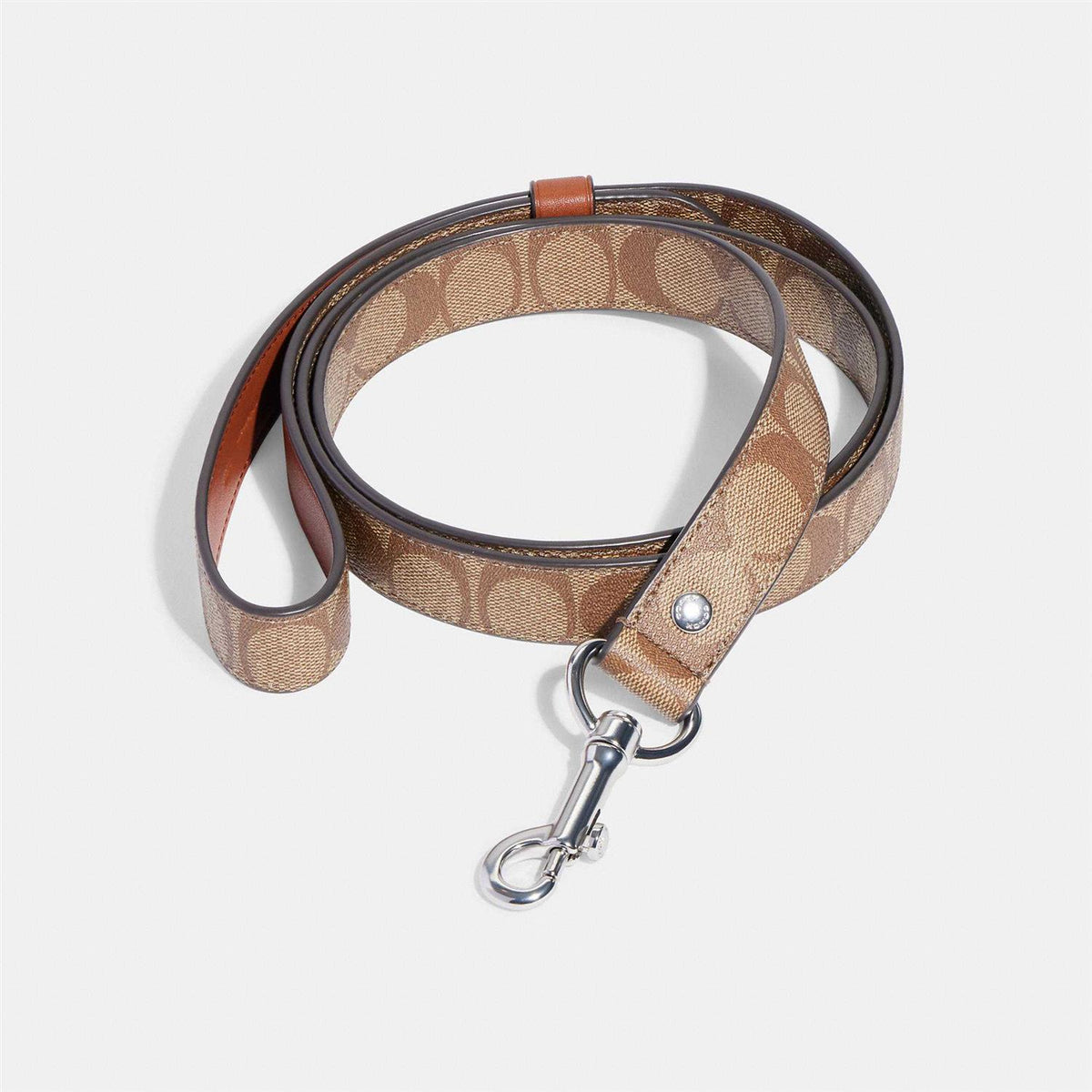 Boxed Pet Leash In Signature Canvas Z95360