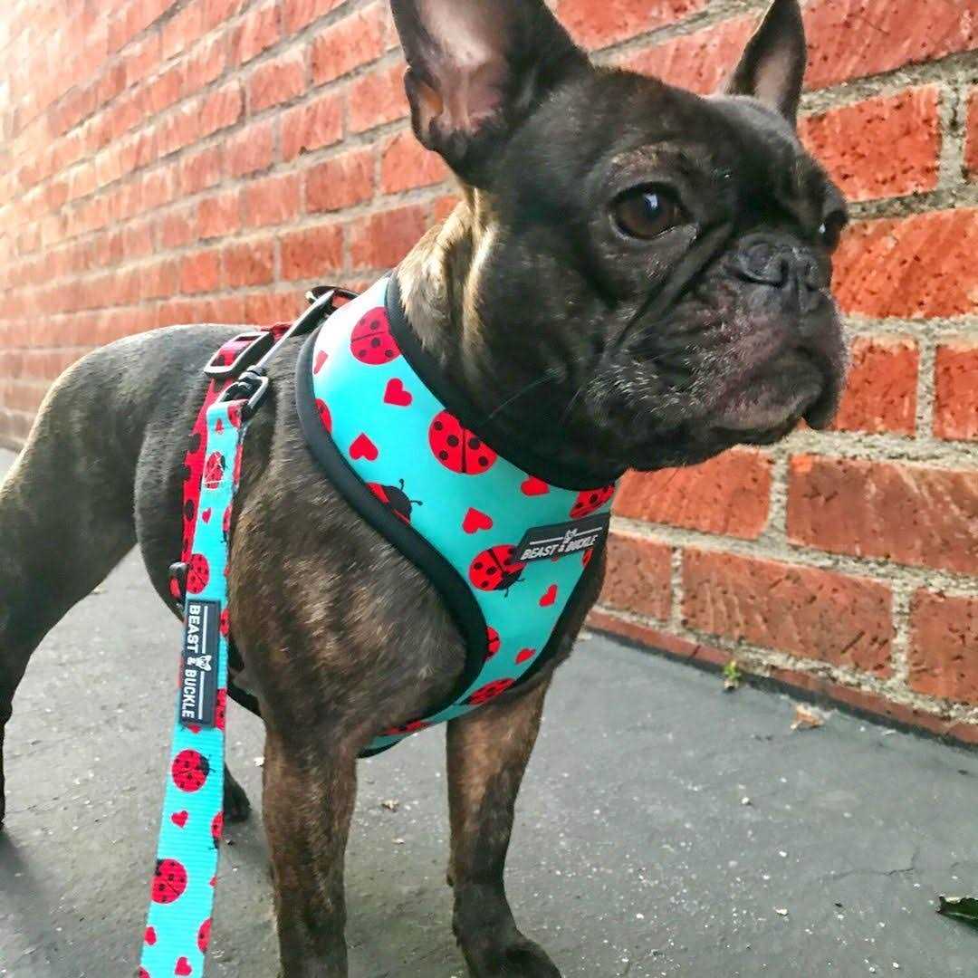 Reversible Dog Harness A599