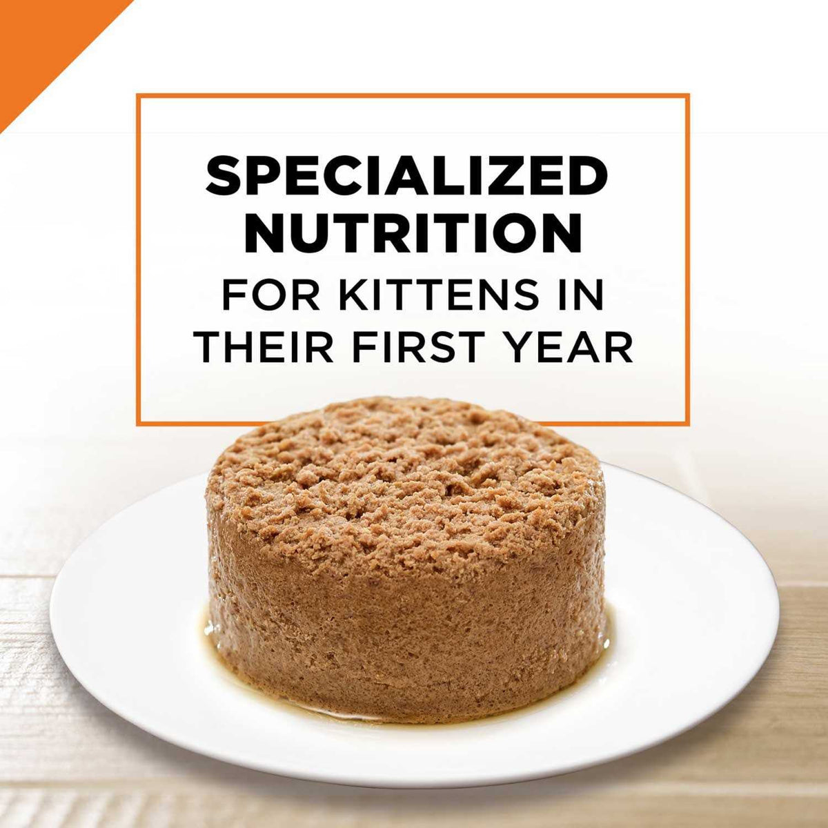 Grain Free Pate Wet Kitten Food I9464